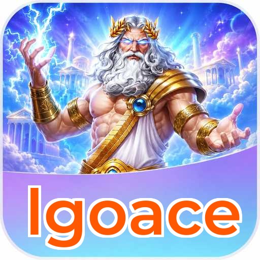Audit profile lgoace